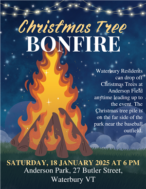 Christmas Tree Bonfire Poster 25