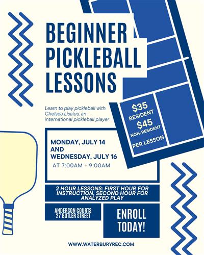 Pickleball Poster